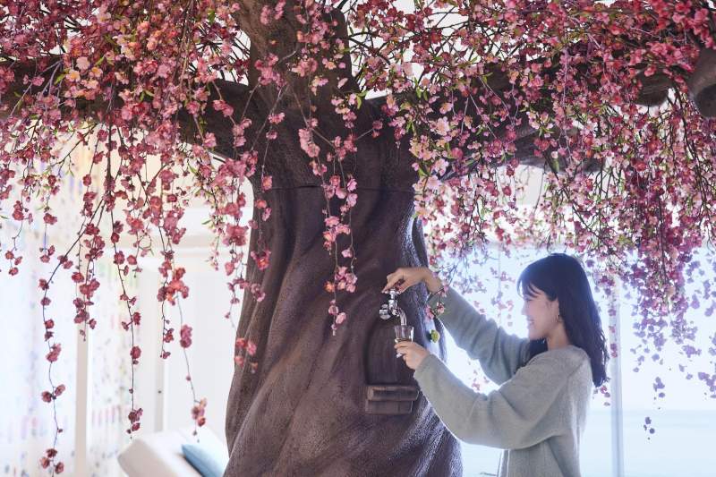 「リゾナーレ熱海」早咲きの梅