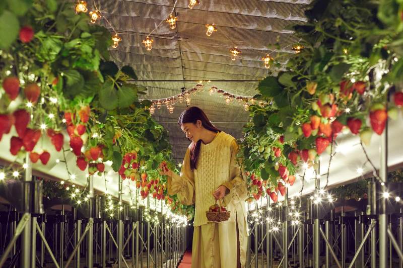 「リゾナーレ熱海」ナイトストロベリーツアー