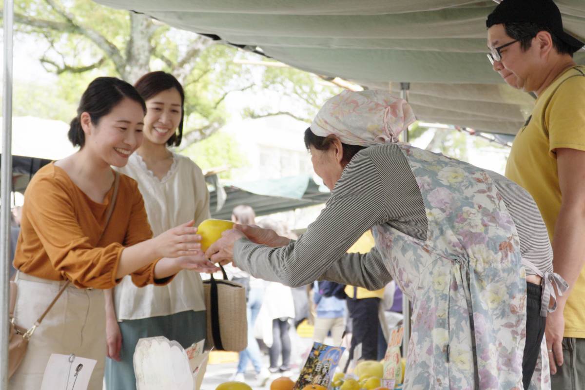 【OMO7高知】酢がきいちゅう、日本一の日曜市ツアー