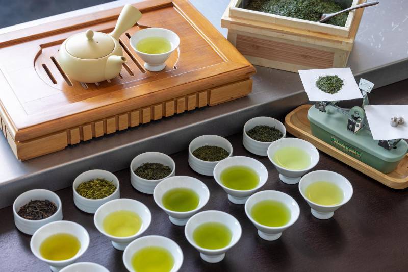 「界 遠州」五感で愉しむお茶作り