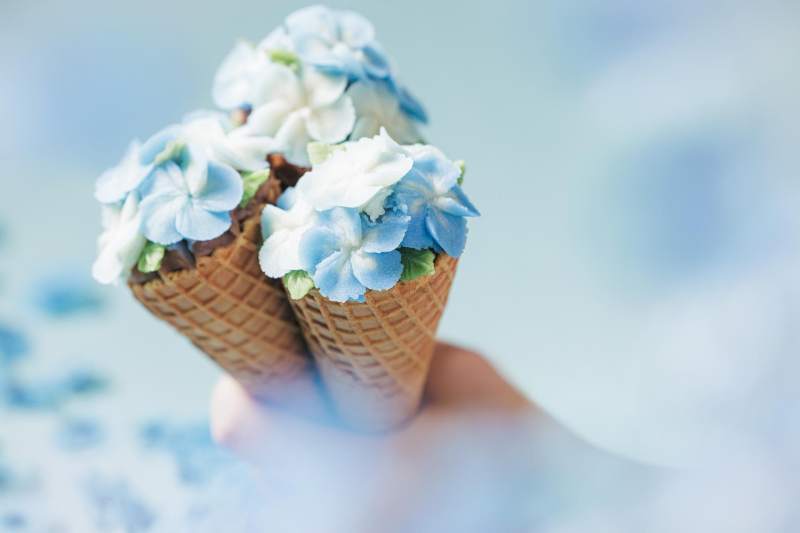 「BEB5土浦×国営ひたち海浜公園」ネモフィラブルーミング